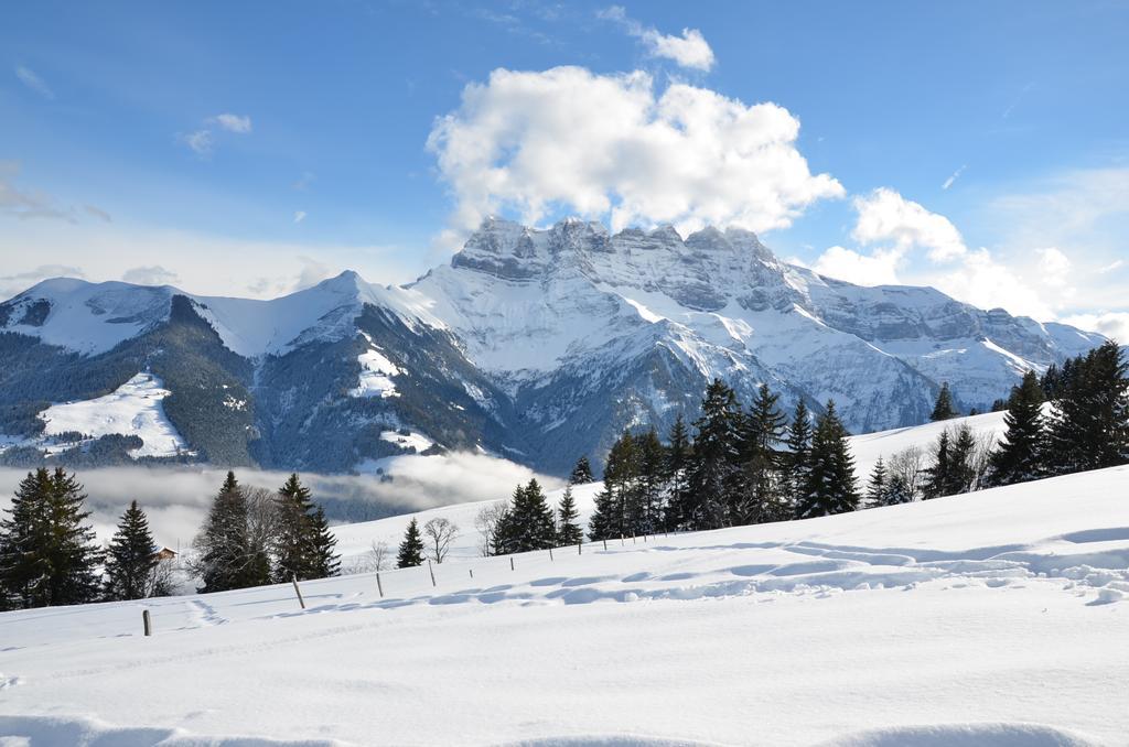 Le Chalet De L'Atelier - Le Nord Champéry Стая снимка